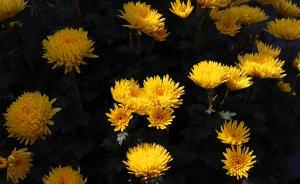 江西信息日報社記者沈澈清遭遇車禍去世，終年34歲