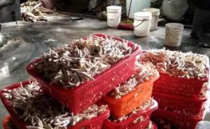 四千斤黑作坊雞爪被查：用工業雙氧水泡