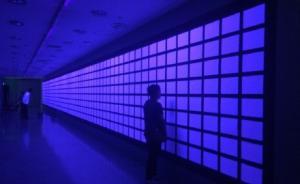 藝術(shù)家5千元網(wǎng)購(gòu)34萬(wàn)人信息辦展