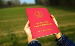 農(nóng)地制度改革看點(diǎn)多：土地承包再延30年，宅基地三權(quán)分置