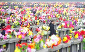 京滬墓地價格比房價還高數(shù)倍，壟斷致“墳地產(chǎn)”暴利