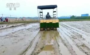 農(nóng)業(yè)農(nóng)村部：春耕開局良好，夏糧豐收有基礎(chǔ)