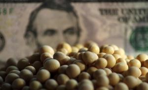 美大豆如被加稅會怎樣？新華社：有替代產(chǎn)品，對中國影響有限