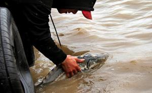 三部门制订重点流域水生生物多样性保护方案：遏制物种衰退
