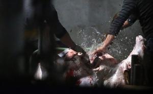 視頻丨注水牛羊肉從東莞多家正規(guī)屠宰場流出，莞深連夜查封