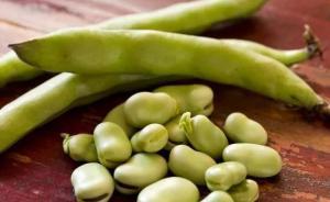 吃蚕豆的季节，你可知80年前它救了南京城众多难民