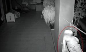 “別墅大盜”洗劫40余萬財物，貴陽民警追蹤三百多公里擒獲