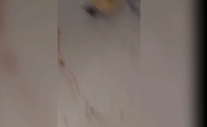 美国监狱暴乱画面曝光：地面满是血迹