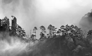 紀(jì)念｜那個癡迷于“黑白”黃山的汪蕪生似乎從未離開