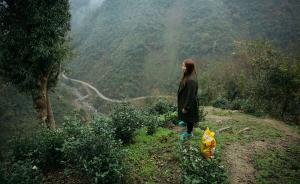 易地搬遷①｜陜西紫陽：技能扶貧讓人去大城市，但得回家買房