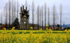 黃山官網(wǎng)刊發(fā)市長(zhǎng)回應(yīng)：“復(fù)名徽州”改不改，徽文化都會(huì)傳承