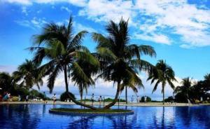 國(guó)家林業(yè)和草原局：加大對(duì)海南生態(tài)保護(hù)和修復(fù)的支持力度