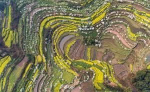 半月谈：自然资源纳入干部离任审计，全面推开痛点不少