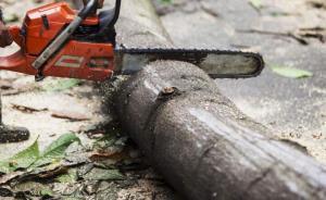 吉林省破獲特大盜伐林木案：“訂單”均來自白山一木業(yè)公司