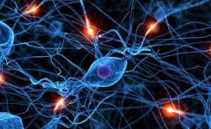 新研究显示冷冻“饥饿神经”可令食欲下降，有助肥胖患者减肥