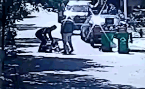 男子“為雞報(bào)仇”，小區(qū)內(nèi)刀捅阿拉斯加