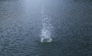 陜西蒲城兩初中女生河邊玩耍時落水，一人溺亡另一人仍在搜尋