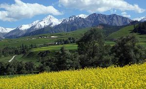 青海：所有自然保護區(qū)內省、州、縣三級發(fā)證礦權已全部注銷 