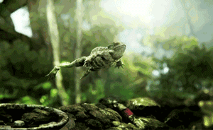 打着“捐卵”旗号：卵子交易中介披爱心外衣顶风作案