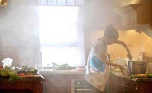 荷蘭研究組織發(fā)現(xiàn)：烹飪油煙有害，不加以保護(hù)很容易誘發(fā)肺癌