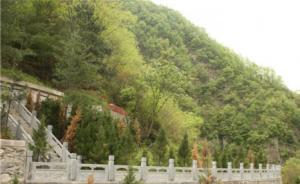 最美鄉(xiāng)村沿線見(jiàn)墳：多部門(mén)干預(yù)難阻私人違規(guī)占林建“豪華墳”