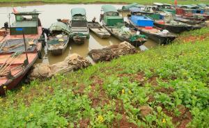 江西余干縣長(zhǎng)黃勝富作詩(shī)推薦當(dāng)?shù)孛谰埃恨r(nóng)田泛綠，盎然新生