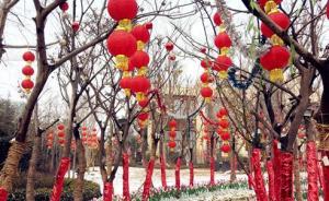 趙萍代表：春節(jié)假短獨生子女夫妻該回誰家？建議延長至15天