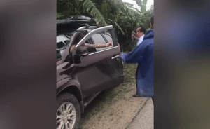 紋身男海南偷香蕉被打？警方：事發(fā)廣西