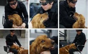 盲人歌手入住上海酒店导盲犬被拒：被当宠物犬，法律缺规定