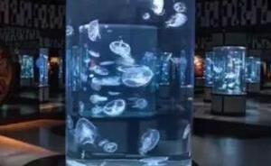 江西南昌“海洋王國”展覽看的全是魚缸，市民吐槽“被坑”