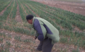 耗資數(shù)百萬灌溉設(shè)施無法使用，臨沂急修