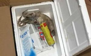 大連男子因個人矛盾報復(fù)快遞員，空運魷魚中竟藏易燃易爆物