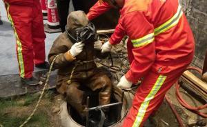 “520”就是我爱你？神秘数字背后有上海这些部门郑重承诺