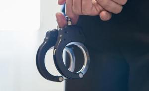 “微商”卖枪被举报，沈阳警方调查发现其系25岁“女网逃”