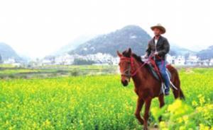 清鎮(zhèn)馬癡的幸福生活：昔日馬兒馱回百萬(wàn)財(cái)，要建鄉(xiāng)村旅游馬幫