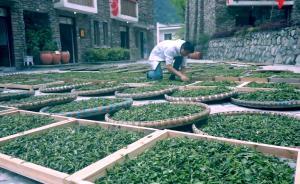 汶川地震十周年丨映秀的茶文化品牌經(jīng)營