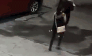 女子被“天降大狗”砸斷頸椎，家屬要告事發(fā)廠房房東和租戶