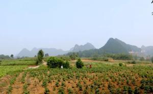 湖南千萬(wàn)涉農(nóng)項(xiàng)目款被盤剝68%，當(dāng)?shù)丶o(jì)委怒斥“令人發(fā)指”