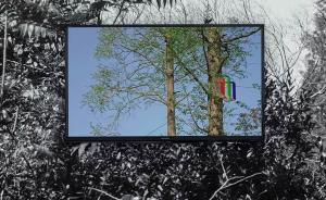 圓桌｜在當(dāng)代語境下，思考“海上·青年·影像”的關(guān)系