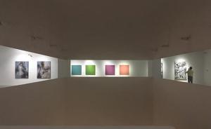 上海抽象艺术大展，展三代画家东方抽象探索