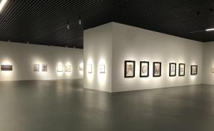 素問(wèn)：一個(gè)獨(dú)立呈現(xiàn)何多苓等當(dāng)代畫(huà)家素描的展覽