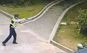 猛犬街頭發(fā)狂咬貓，民警連開三槍未打死