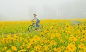 生態(tài)環(huán)境部公開7省市中央環(huán)保督察整改落實情況