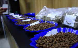 【美麗中國(guó)長(zhǎng)江行】云南普洱：讓“好咖啡賣出好價(jià)格”