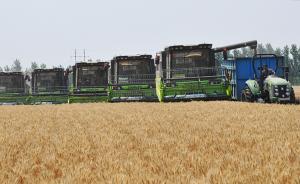 人民日报：大城市发力“抢人”，真正缺乏人才的农村咋办