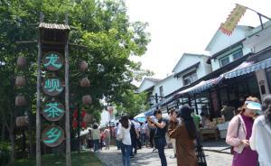 【美麗中國長江行】重新規(guī)劃茶樹種植，南京打造生態(tài)黃龍峴