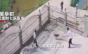 湖南桃源回應私闖民宅強制打狗：出現(xiàn)疫情才撲殺，事前已通知