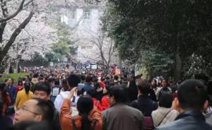 馬上評｜問一聲，武大真的還需要這樣的“櫻花節(jié)”嗎？