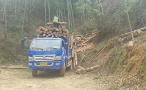 江西瑞金一村民“哭著喊著”要當(dāng)護林員，才一個月就監(jiān)守自盜