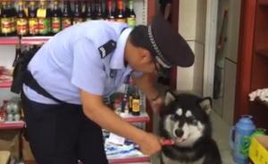 天熱阿拉斯加賴在超市蹭冷氣，民警誘出